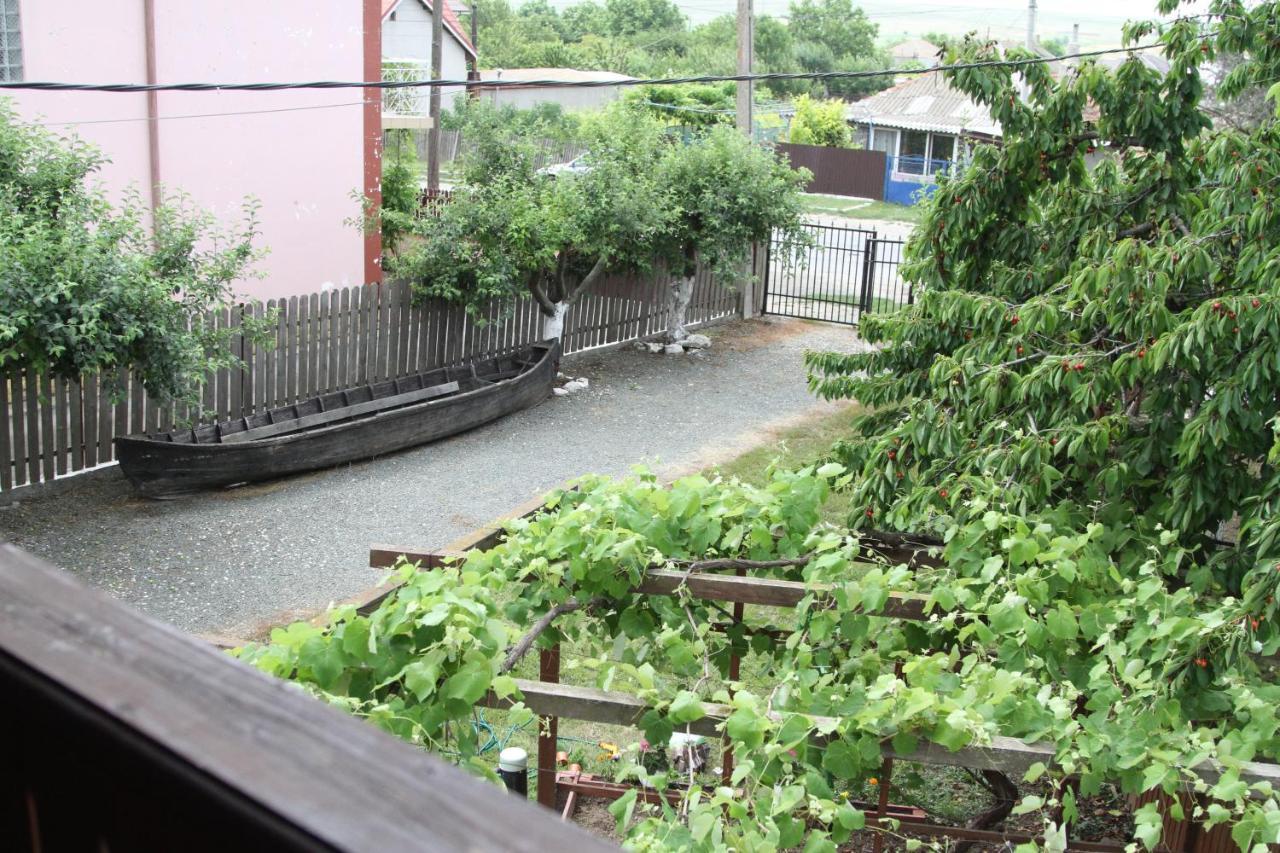 Vila toate Panzele Sus Corbu  Exterior foto