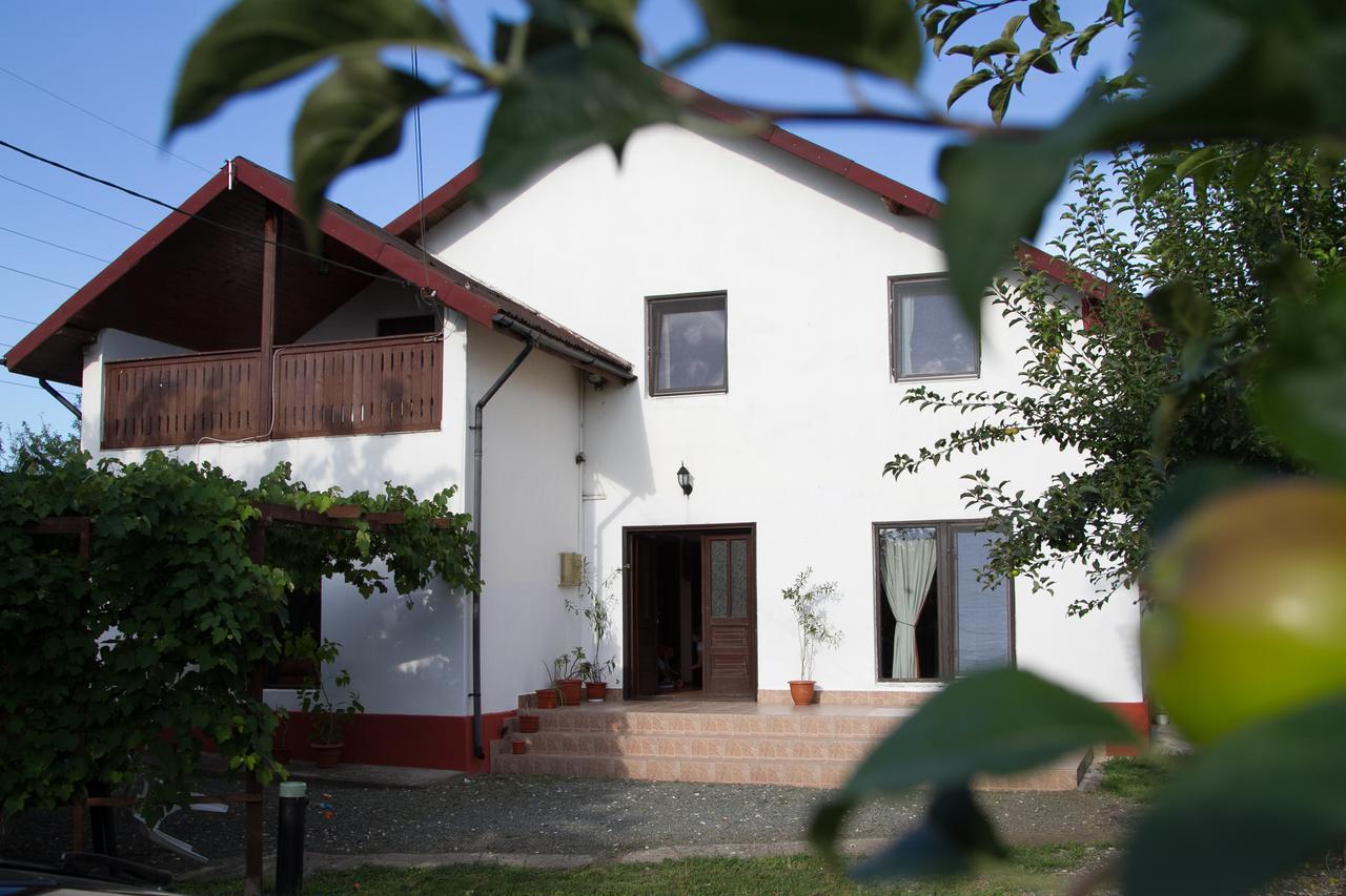 Vila toate Panzele Sus Corbu  Exterior foto