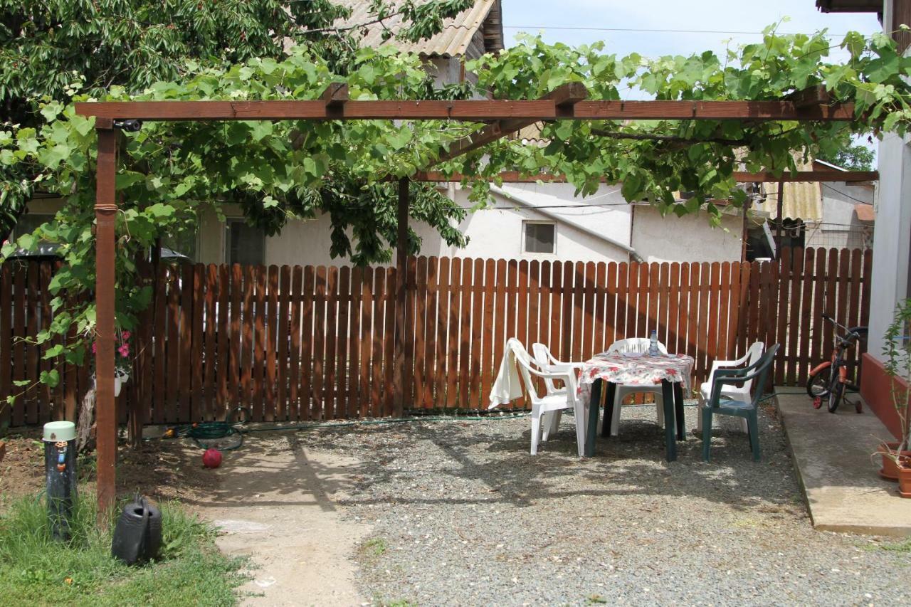 Vila toate Panzele Sus Corbu  Exterior foto